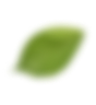 Leafe Image