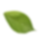 Leafe Image